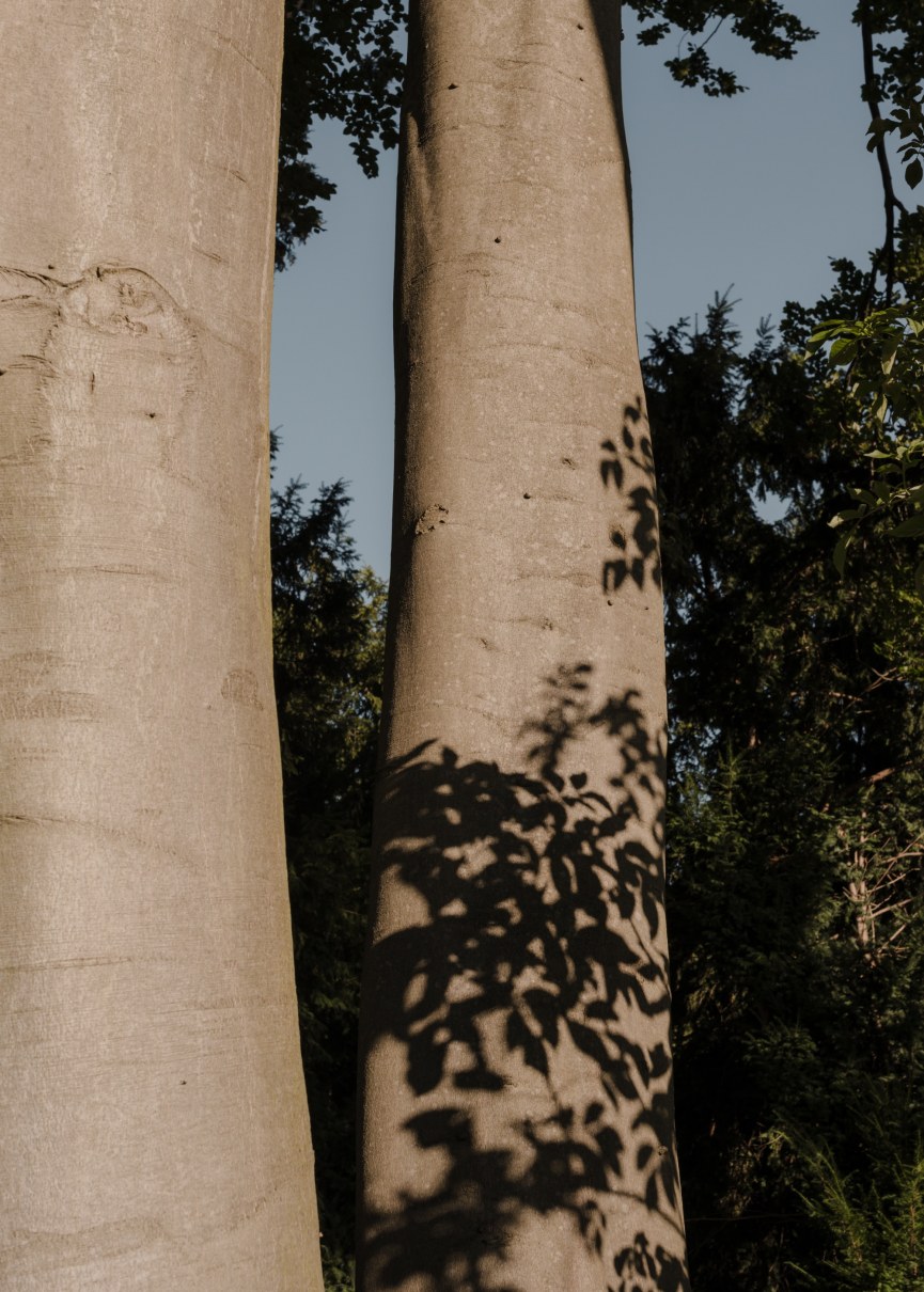 bvp junkersdorf marie kreibich 002