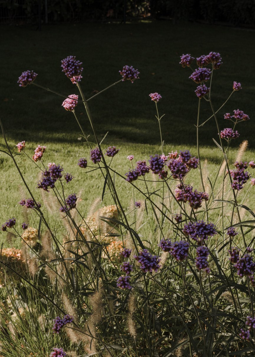 bvp junkersdorf marie kreibich 026